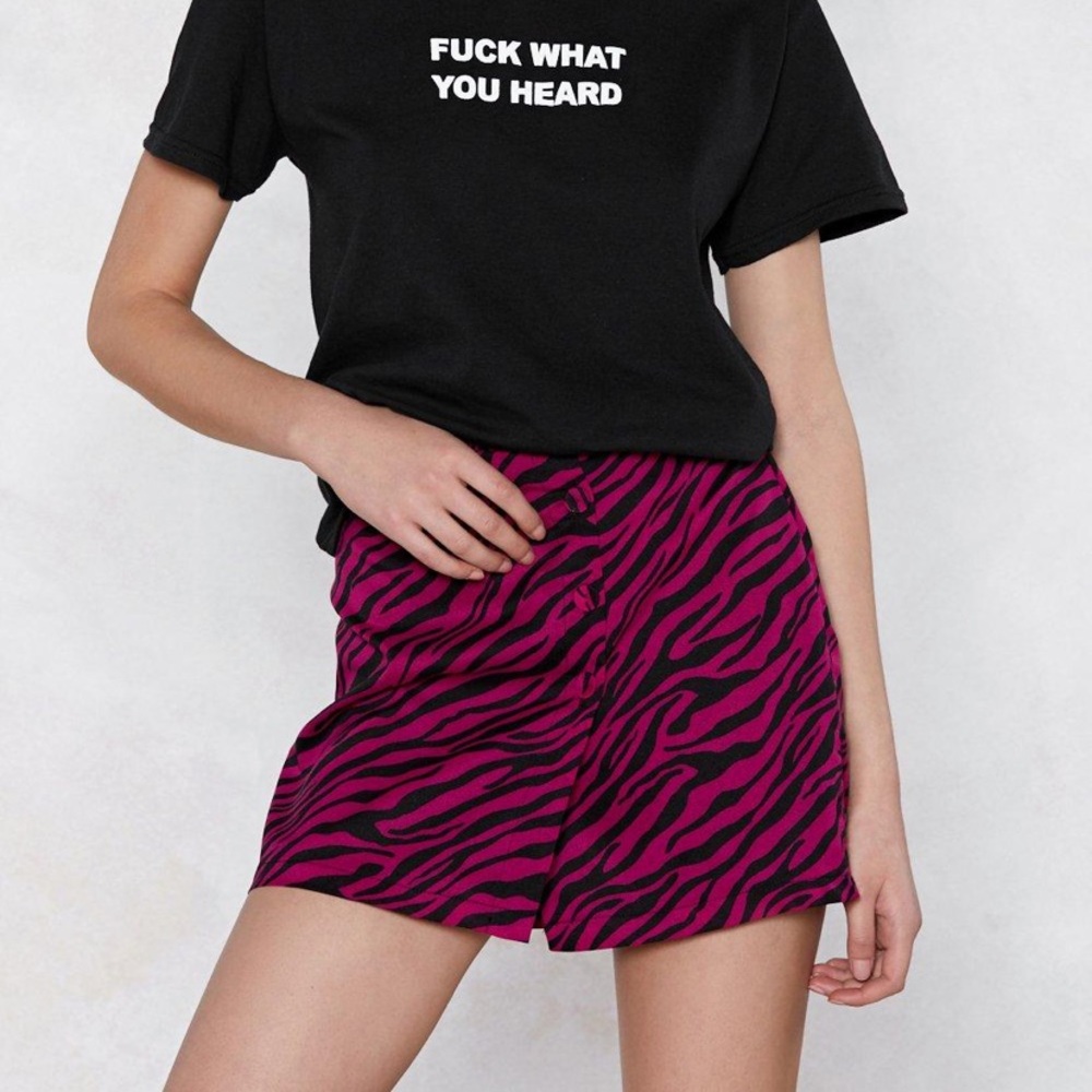 NWT Nasty Gal Don’t Blend In Zebra Skirt